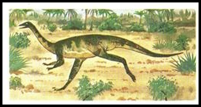 14 Ornithomimus